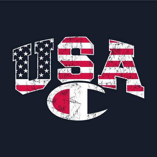 Champion USA Logo Tshirt - 4th of july shirts